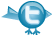 Follow me on twitter!