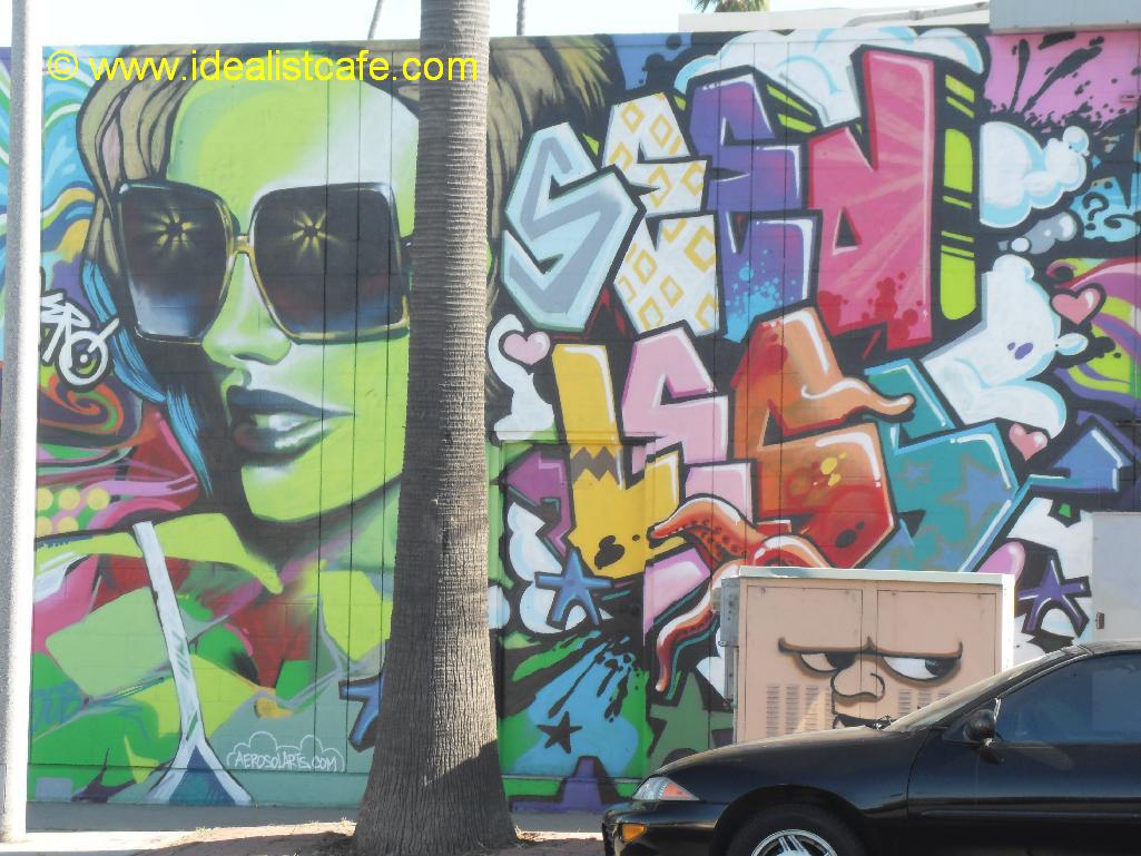 Seedless graffiti, Ocean Beach, San Diego, California