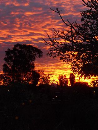 January sunrise, San Diego, California