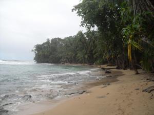 Beach south of Manzanillo