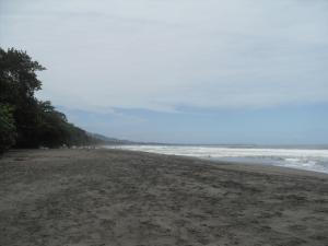 Playa Negra, north of Puerto Viejo