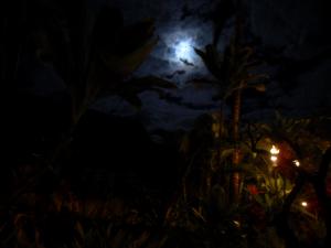 Moon rise at Old Lahaina Luau