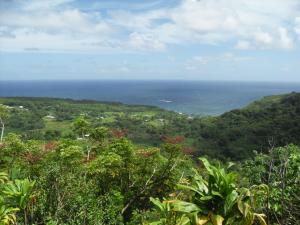 Another beautiful view from the Road to Hana