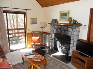 Quiet Creek Inn Cabin - living room with fireplace