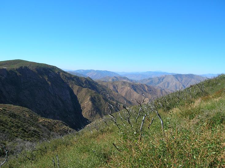 Looking north from Pacific Crest Trail