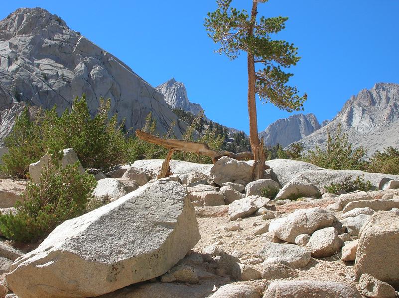 Another near Lone Pine Lake