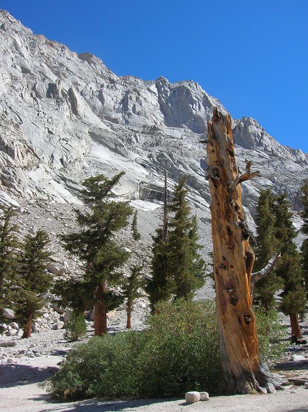 One more near Lone Pine Lake