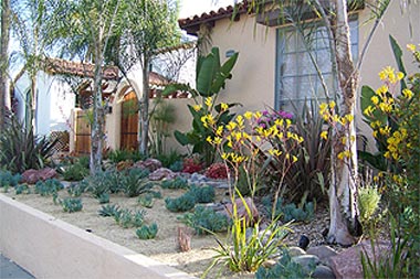 San Diego drought tolerant landscaping