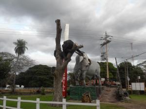 Monkey and Bull at Tres Hermanas BBQ in Abangares