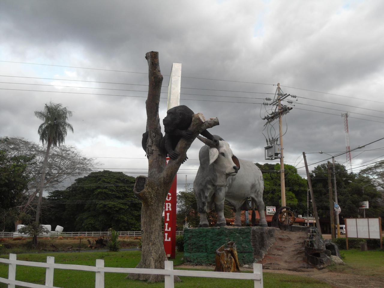 Monkey and Bull at Tres Hermanas BBQ in Abangares