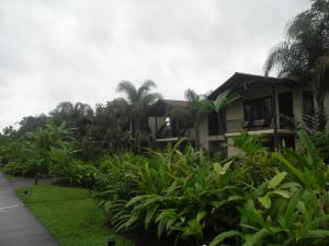 Casa Luna Hotel, La Fortuna