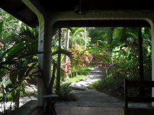 Star Mountain Jungle Lodge in Mal Pais