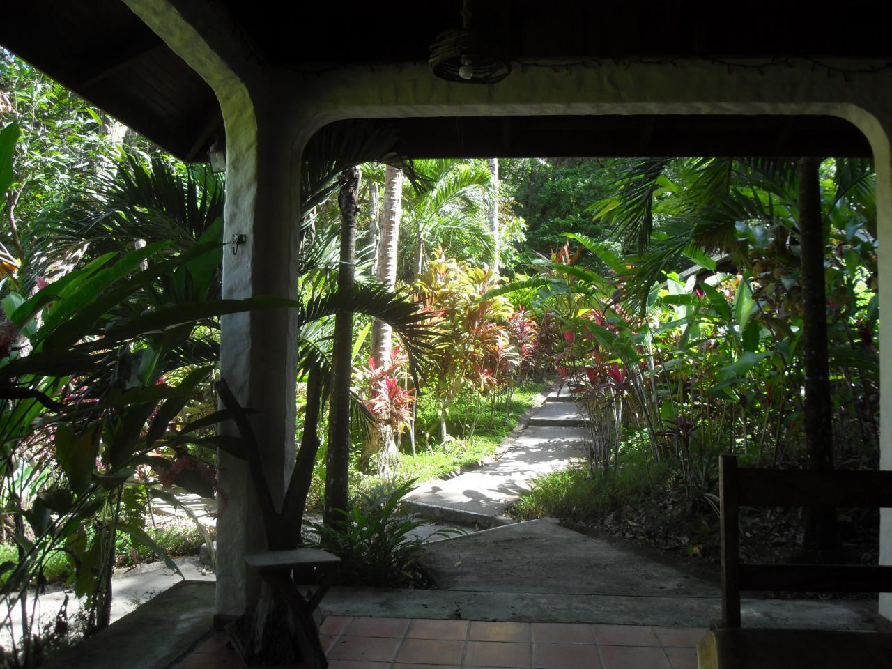 Star Mountain Jungle Lodge in Mal Pais