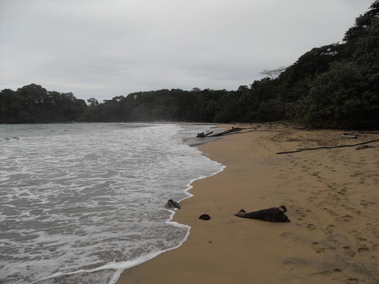 Punta Uva beach near Puerto Viejo