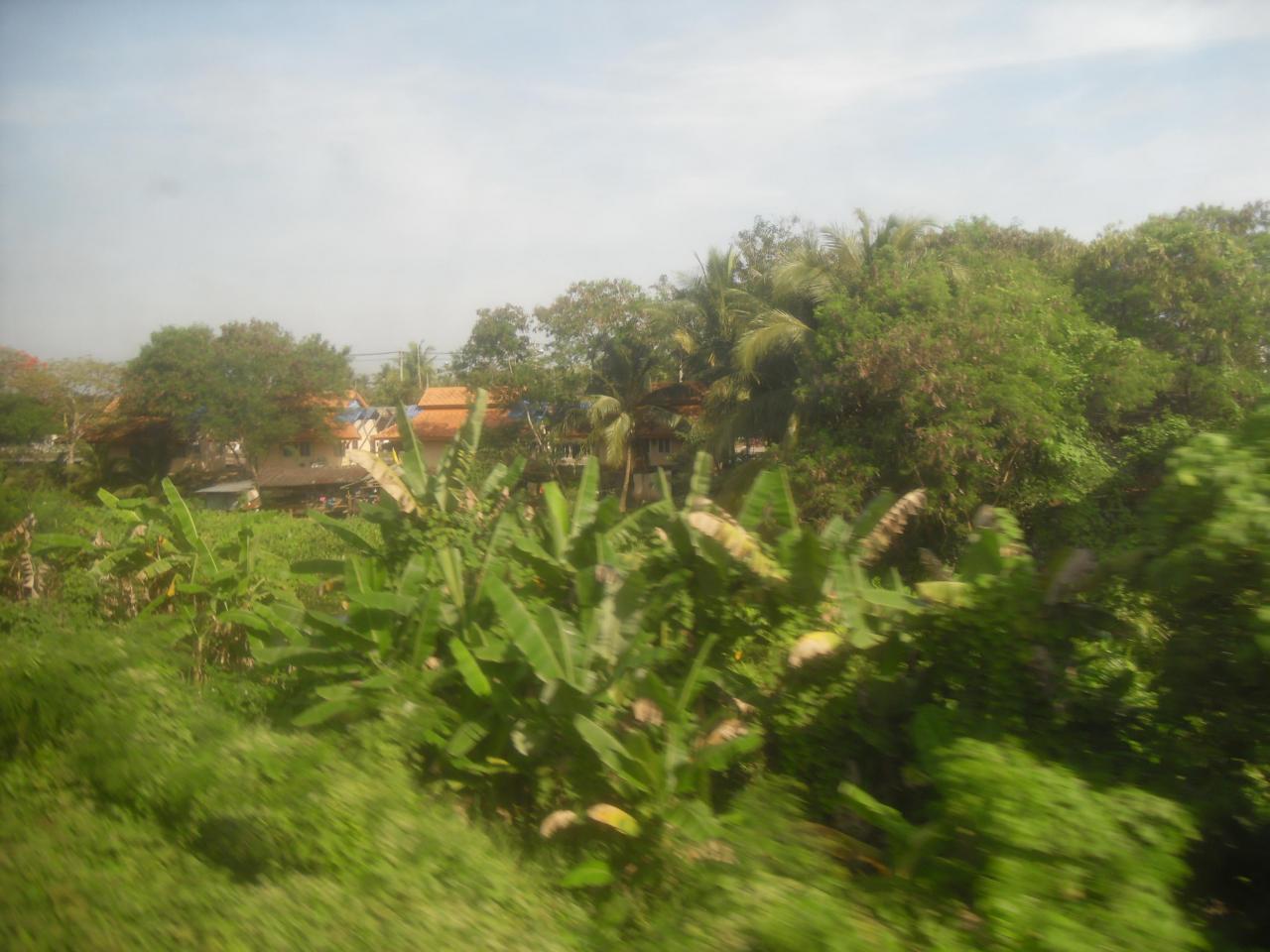 Another view from the train to Surat Thani