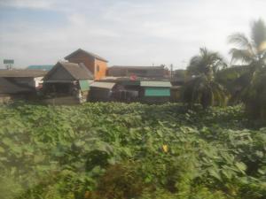 Another view from the train