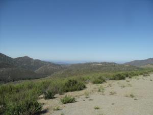 Looking   west, near the summit