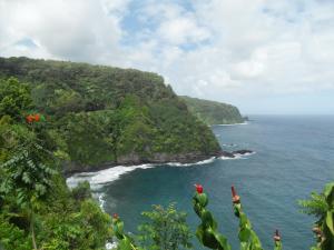Gorgeous view of black sand beach - Road to Hana