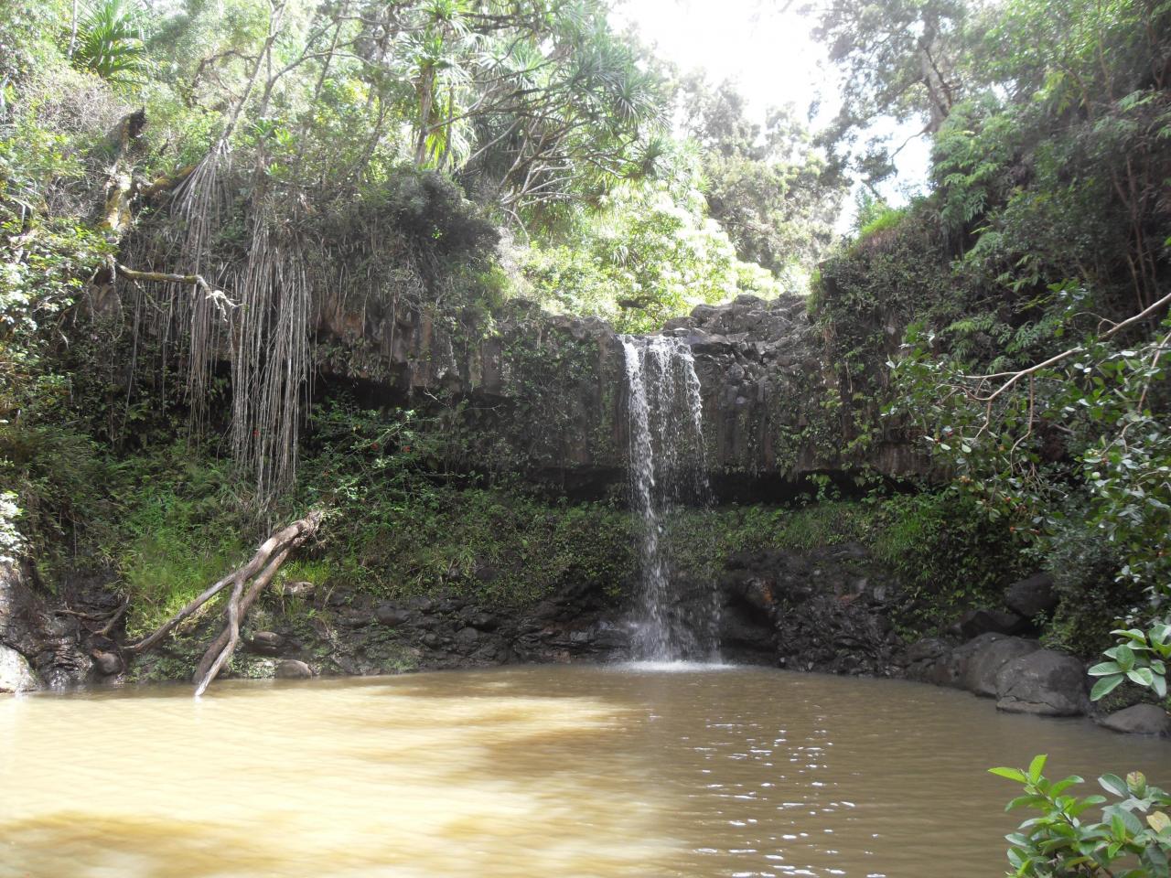 Waterfall a short hike off the Road to Hana