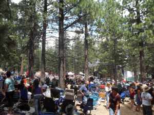 The scene at Sam's Wood site, people setting up their chairs
